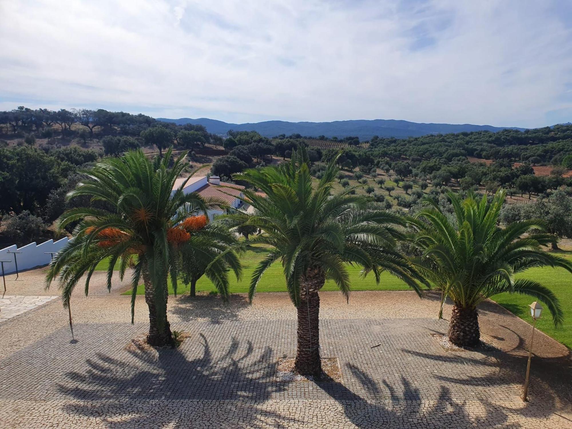 Bed and Breakfast Monte Da Pechincha Estremoz Exterior foto